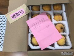 奥斯卡、阿瑙收到6箱黄桃和一封感谢信，一切要从一年前的善举说